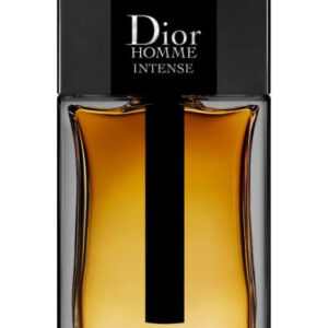 Alternative view of DIOR - Homme Intense EDP 100ml