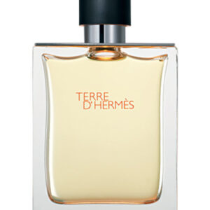 Alternative view of HERMES - Terre d'Hermes EDT 100ml